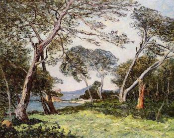馬尅西姆 莫福拉 The Pines of the Ile St Morah 馬尅西姆 莫福拉 The Pines of the Ile St Morah